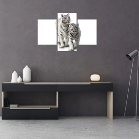 Obraz - Biely tiger (90x60 cm)