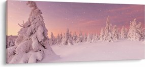 Obraz - Stromy pod snehovou prikrývkou (120x50 cm)