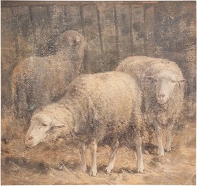 Hnedý obraz ovečky na plátne - 50*3*50 cm
