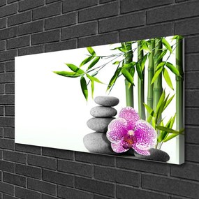 Obraz Canvas Bambus kamene zen umenie 120x60 cm