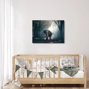 Sklenený obraz slona v džungli (70x50 cm)