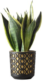 PLASTOVÝ KVETINÁČ ETNIC 15X14 CM ZLATÁ