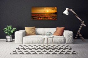 Obraz Canvas Pole maky západ slnka lúka 140x70 cm