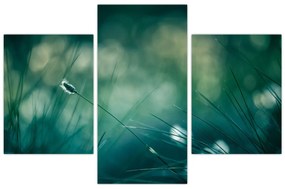 Obraz - Detail trávy (90x60 cm)