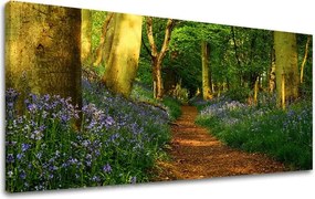 Obraz na stenu PANORÁMA STROMY