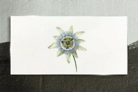 Obraz na skle Kresba kvetín závod