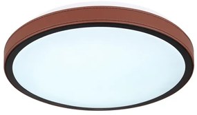 Globo 41766-12 - LED Stropné svietidlo SAMMI LED/12W/230V 3000/4500/6000K