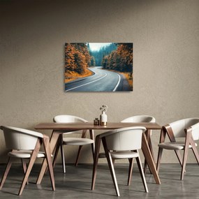 Sklenený obraz - Kľukatá cesta (70x50 cm)