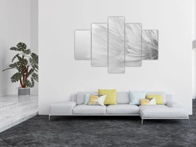 Obraz - Púpava (150x105 cm)