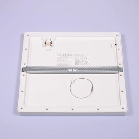 Globo 12380-24W - LED Stropné svietidlo LASSE LED/24W/230V 3000/4000/6500K biela