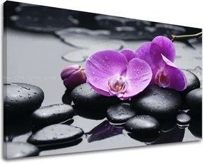 Obraz na stenu FENG SHUI FS011E11