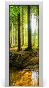 Fototapeta na dvere Strumień w lasi 95x205 cm