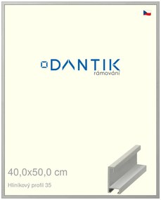 DANTIK rám na obraz 40x50 | ALU Dýha barevná šedá (Plexi Čiré)