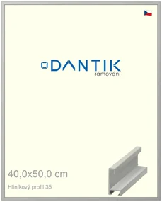 DANTIK rám na obraz 40x50 | ALU Dýha barevná šedá (Plexi Čiré)