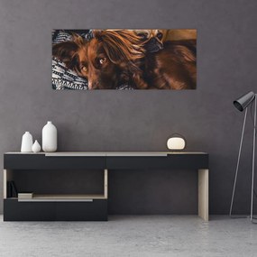 Obraz ležiacich psov (120x50 cm)
