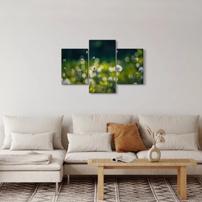 Obraz - Tráva (90x60 cm)