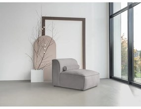 Svetlosivý modul pohovky (stredový diel) Flex Felix – Miuform