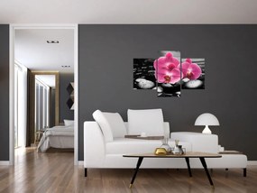 Obraz - Ružové orchidey (90x60 cm)