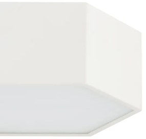 Argon 8781 - LED Stropné svietidlo LIBERO LED/12W/230V 3000K biela