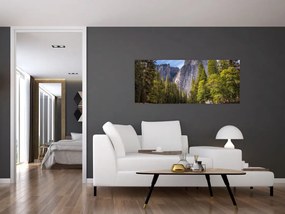 Obraz - Pod Yosemite skalou (120x50 cm)