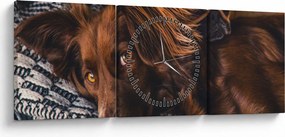 Obraz ležiacich psov (s hodinami) (90x30 cm)
