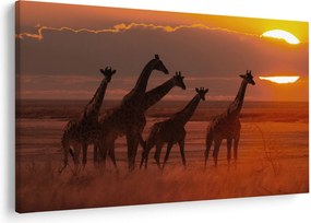 Obraz - Žirafy v africkej savane (90x60 cm)