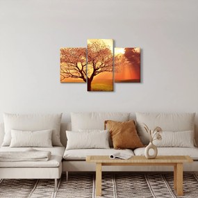 Obraz lúčov Boha (90x60 cm)