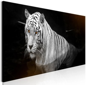 Artgeist Obraz - Shining Tiger (1 Part) Orange Narrow Veľkosť: 120x40, Verzia: Premium Print