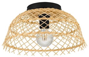 Eglo 43831 - Stropné svietidlo AUSNBY 1xE27/40W/230V