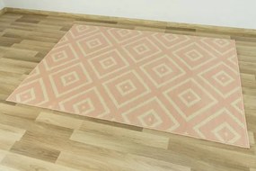 Koberec LUNA 503572/85822 ružový