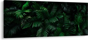 Obraz - Tropické papradie (120x50 cm)