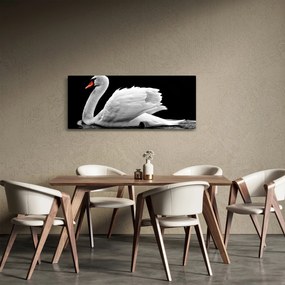 Obraz čiernobielej labute (120x50 cm)