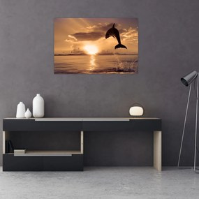 Obraz - Delfín pri západe slnka (90x60 cm)