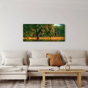 Obraz žirafy v prírode (120x50 cm)