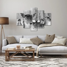 Obraz - Jelenča, čiernobiela (150x105 cm)