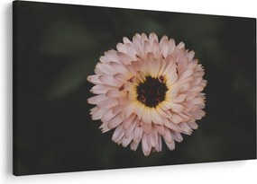 Obraz oranžovej kvetiny (90x60 cm)