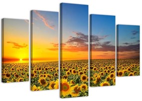 Obraz na plátně pětidílný Západ slunce se slunečnicemi - 150x100 cm