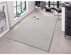 Svetlosivý koberec Hanse Home Pure, 200 x 300 cm