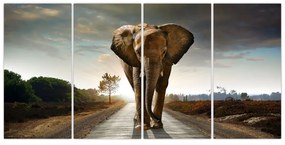 Obraz kráčajúceho slona