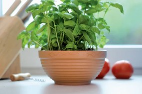 Dekoratívny kvetináč MISAS grafitový