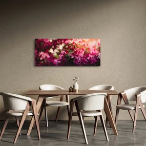 Obraz kvetov rozkvitnutého kríku (120x50 cm)