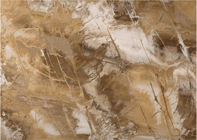 Obraz - Hnedá abstrakcia (70x50 cm)