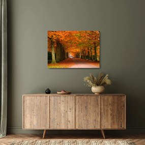 Sklenený obraz - Jeseň Alej stromov (70x50 cm)