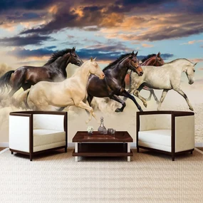 Fototapeta - Cval Mustangov (152,5x104 cm)