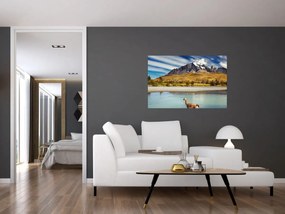 Obraz - Národný park Torres del Paine (90x60 cm)