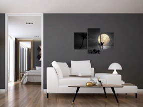 Obraz - Pláž za splnu v šedých tónoch (90x60 cm)