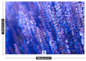 Fototapeta Vliesová Levanduľovej kvety 208x146 cm
