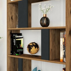 Knižnica Lima Anthracite and Walnut