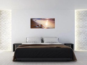 Obraz - Mušle (120x50 cm)