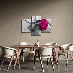 Obraz - Ružová ruža (90x60 cm)